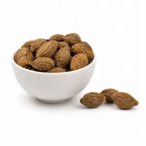 Haritaki - Harad -Terminaia Chebula - Chebulic Myrobalan Ayurveda Tree Seeds