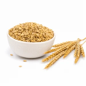Barley - যব -  Yab Seed- job - Jau Dana - by poojn
