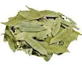 SENNA PATTA - SANAY LEAVES - SENNA LEAF - SONAMUKHI LEAVES - SONA PATTA