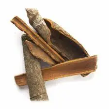 100% Pure - Ashoka Chal -  "অশোকের ছাল" - "अशोक की छाल" - Saraca asoca-Ashoka Bark
