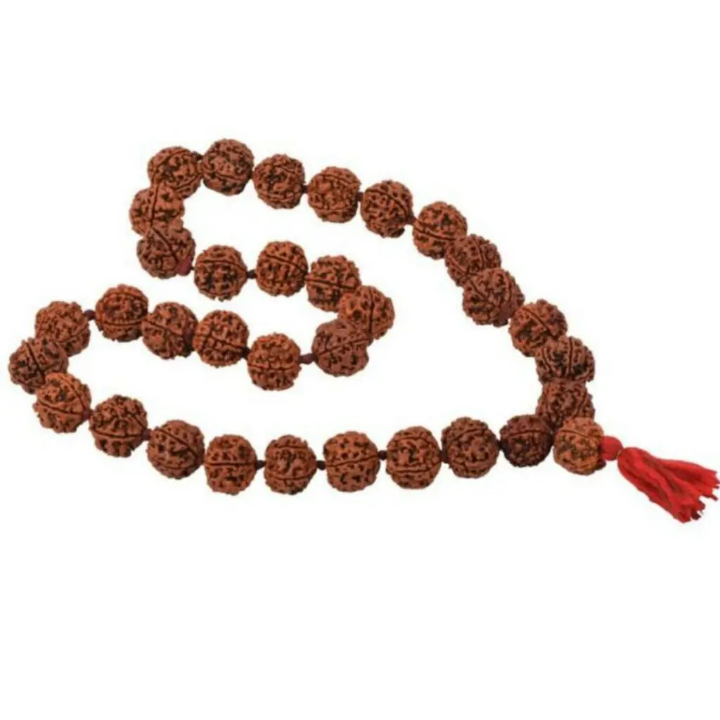 100% Pure Five Mukhi Rudraksh Mala - "পাঁচমুখী রুদ্রাক্ষের মালা" - “पांच मुखी रुद्राक्ष माला" - 15 mm - 54 Beads - 17" Long (Length) Chain - Mala - Image 2