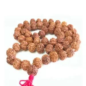 100% Pure Five Mukhi Rudraksh Mala - "পাঁচমুখী রুদ্রাক্ষের মালা" - “पांच मुखी रुद्राक्ष माला" - 15 mm - 54 Beads - 17" Long (Length) Chain - Mala