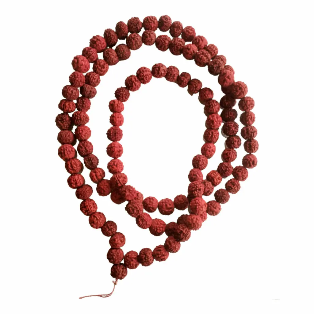100 % Original Five Mukhi Rudraksh Mala - "পঞ্চমুখী রুদ্রাক্ষের মালা" - “पांच मुखी रुद्राक्ष माला" - 14 mm - 108 + 1 Beads - 26" Long (Length) Chain - Mala - Image 3