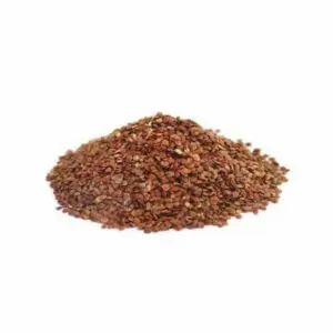 Talmakhana Seeds - "তালমাখানা বীজ" - "तालमखाना बीज़" - Taal Makhana Beej - Kokilaksha Beej - Asteracantha Longifolia