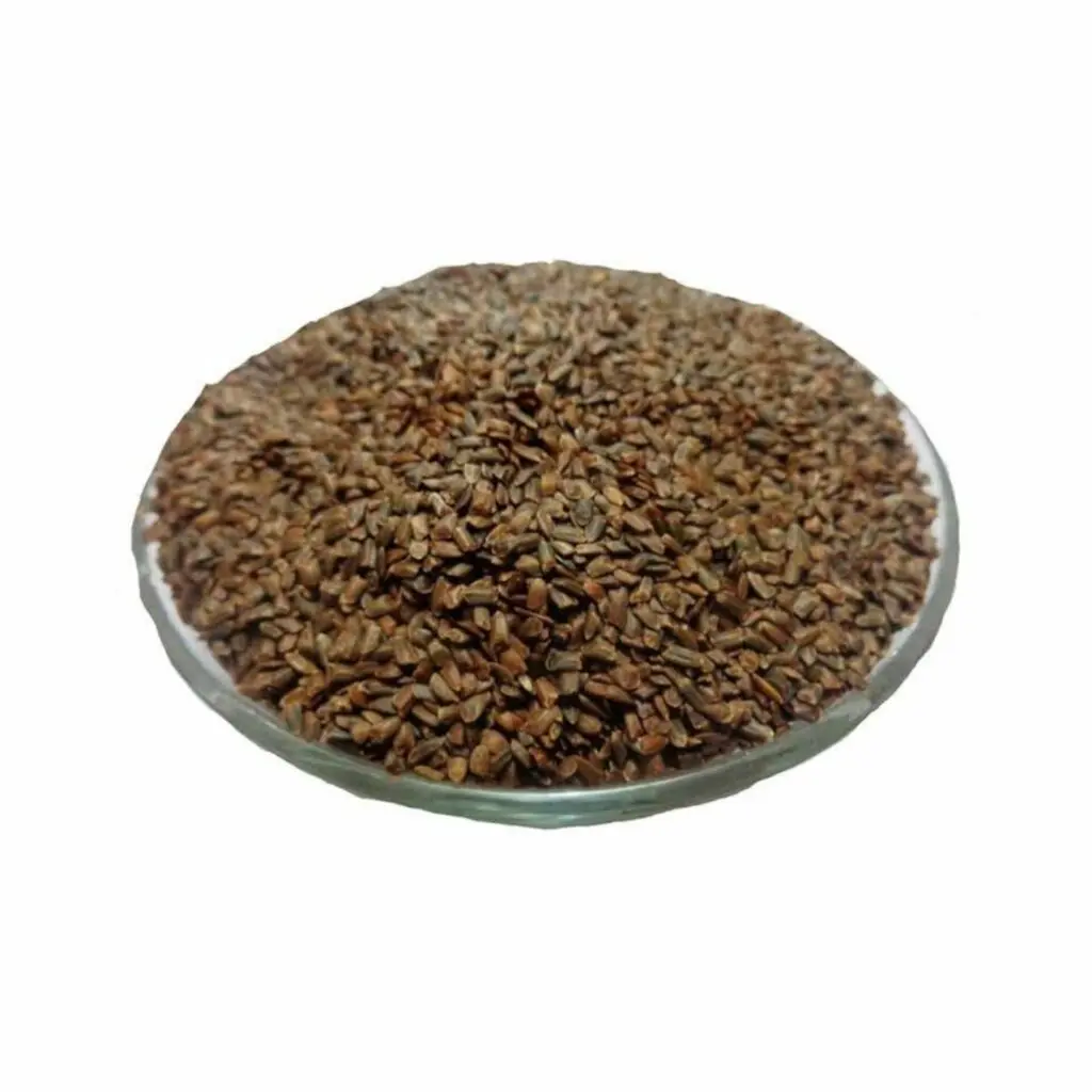 Talmakhana Seeds - "তালমাখানা বীজ" - "तालमखाना बीज़" - Taal Makhana Beej - Kokilaksha Beej - Asteracantha Longifolia - Image 2