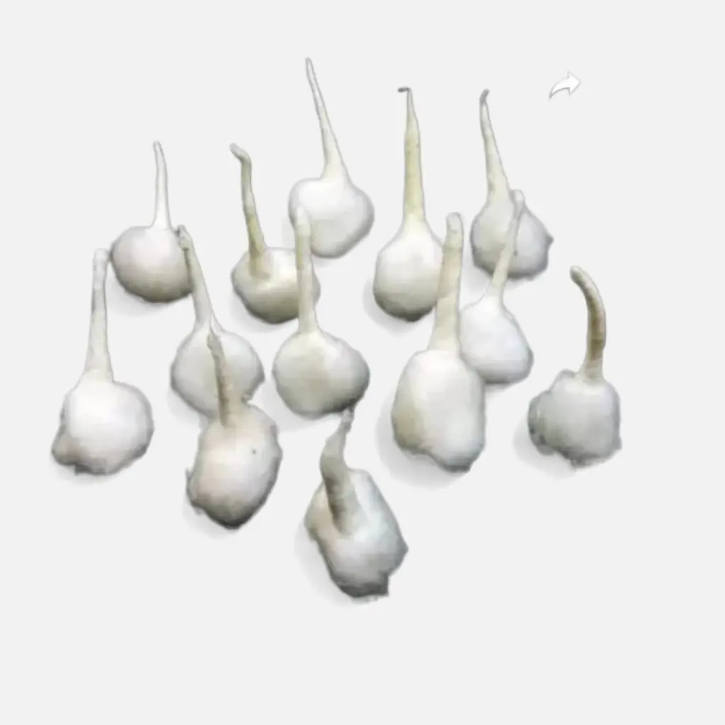 Pooja Diya Phool Batti - Cotton Wicks - Rui Batti - Bori Solta - Guti Solta - Pack of 150 Pieces - Image 2