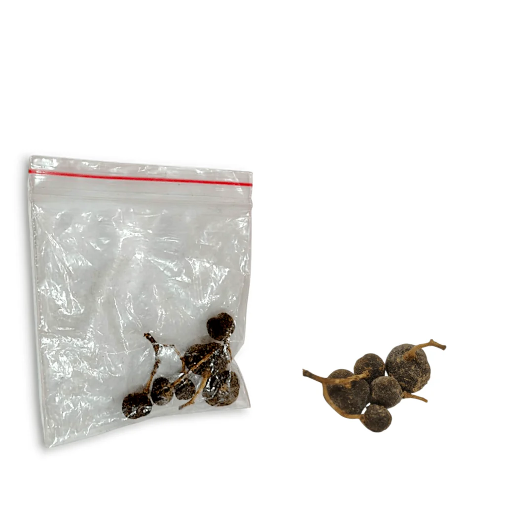 Kakkal - Kokkol - Kakkol Fruit For Puja - Pack Of Five Pieces Of Kakkal