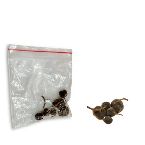 Kakkal - Kokkol - Kakkol Fruit For Puja - Pack Of Five Pieces Of Kakkal
