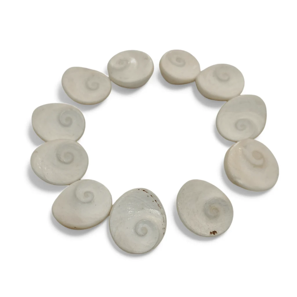 Poojn Brand Natural Gomti Chakra - Pack Of 11 Pieces - Size 20 - 26 mm - Decorative Showpiece - 2 - 2.6 cm White Gomti Chakra (Stone, Shell, White)