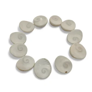 Poojn Brand Natural Gomti Chakra - Pack Of 11 Pieces - Size 20 - 26 mm - Decorative Showpiece - 2 - 2.6 cm White Gomti Chakra (Stone, Shell, White)