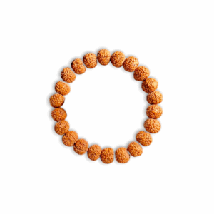 Panchmukhi Rudraksha Bracelet - 5 Face Rudraksha Bracelet