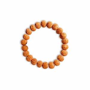 Panchmukhi Rudraksha Bracelet - 5 Face Rudraksha Bracelet