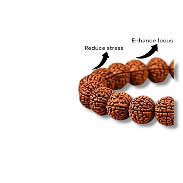 Panchmukhi Rudraksha Bracelet - 5 Face Rudraksha Bracelet - Image 3