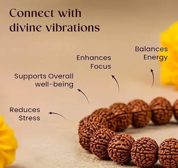 Panchmukhi Rudraksha Bracelet - 5 Face Rudraksha - "পঞ্চমুখী রুদ্রাক্ষ ব্রেসলেট" - "पंचमुखी रुद्राक्ष ब्रेसलेट" - Image 2