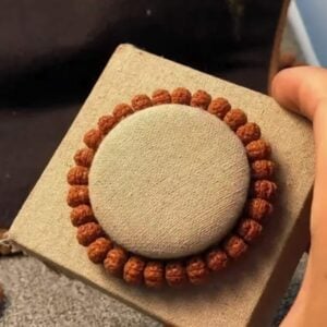 Panchmukhi Rudraksha Bracelet - 5 Face Rudraksha - "পঞ্চমুখী রুদ্রাক্ষ ব্রেসলেট" - "पंचमुखी रुद्राक्ष ब्रेसलेट"