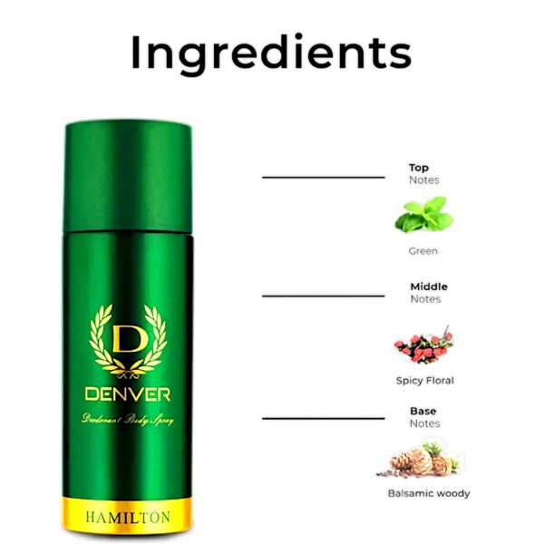 DENVER Hamilton Long Lasting Deodorant Body Spray For Men - 165ml - Image 2
