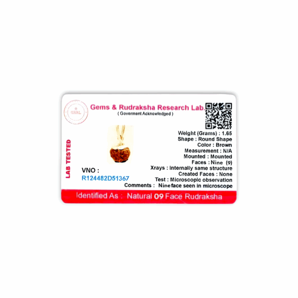 Nine Mukhi Rudraksha - "৯ মুখী রুদ্রাক্ষ" - "नौ मुखी रुद्राक्ष" - Nau Mukhi Rudraksha - With Original Certificate - Image 3