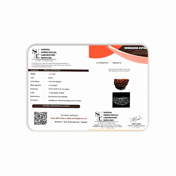Ek Mukhi Rudraksha - Rudraksha Mala - Certified Rudraksh - Image 2