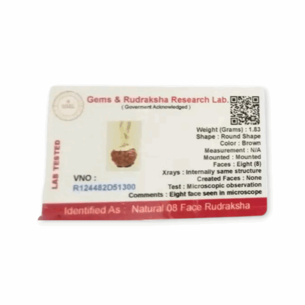 Lord Shiva Metals 8 Mukhi Rudraksha - Capped Rudraksha Pendant With Red Dhaaga and Certificate - Image 5