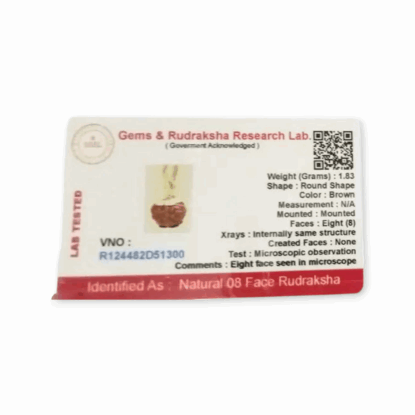 Lord Shiva Metals 8 Mukhi Rudraksha - Capped Rudraksha Pendant With Red Dhaaga and Certificate - Image 5