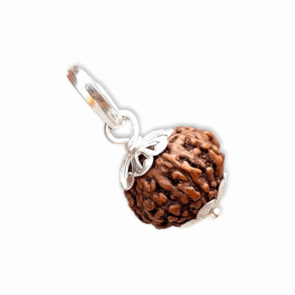 Lord Shiva Metals 8 Mukhi Rudraksha - Capped Rudraksha Pendant With Red Dhaaga and Certificate - Image 3