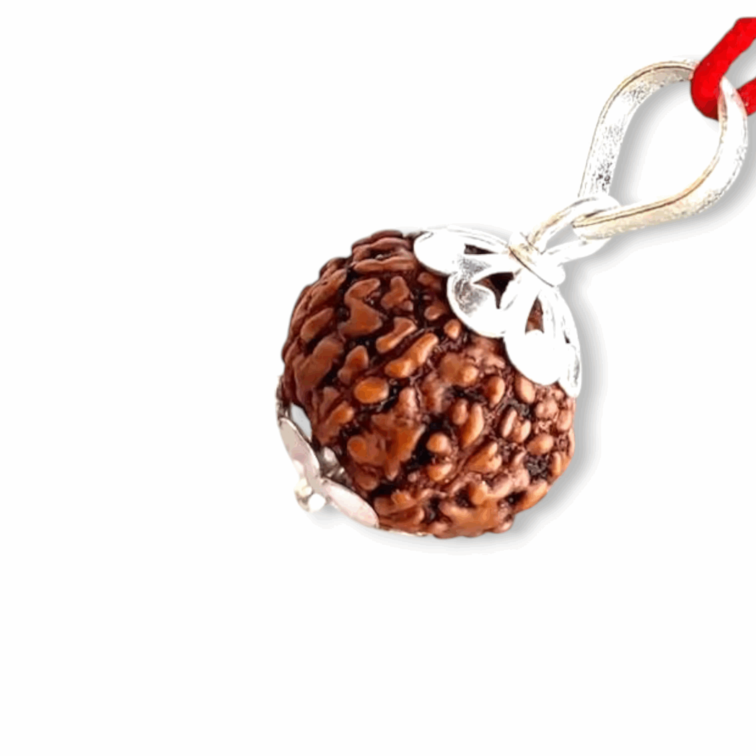 Lord Shiva Metals 8 Mukhi Rudraksha - Capped Rudraksha Pendant With Red Dhaaga and Certificate