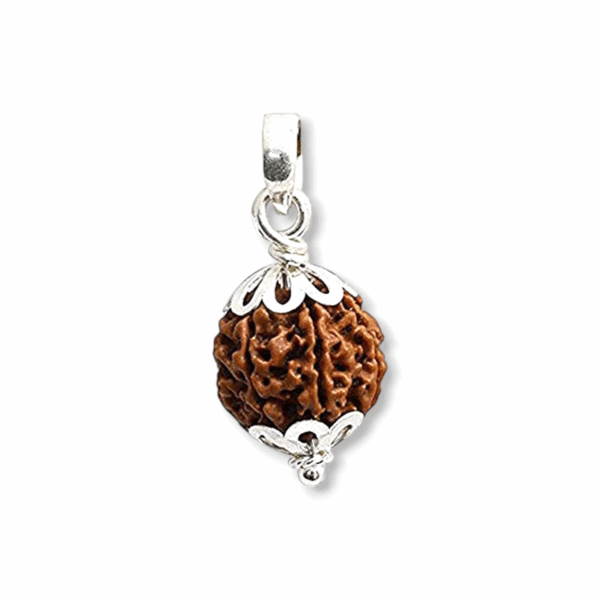 Lord Shiva Metals 6 Mukhi Rudraksha - Capped Rudraksha Pendant - With Red Dhaga and Certificate - Image 4