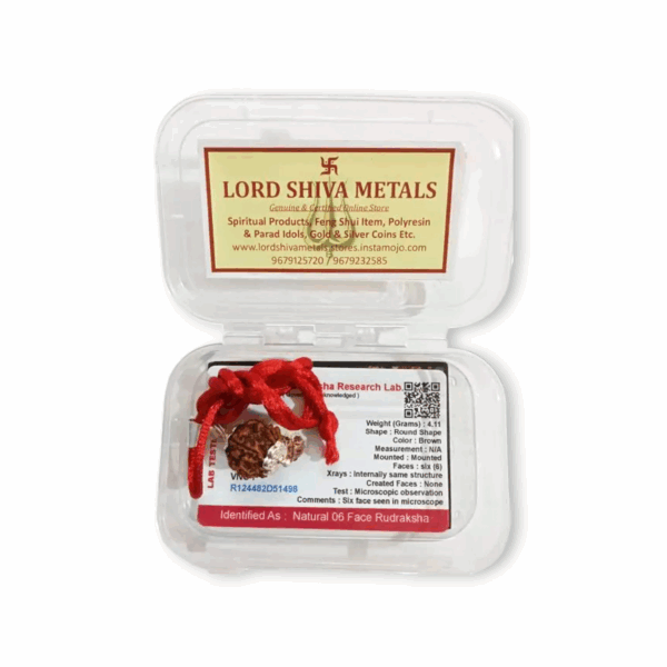 Lord Shiva Metals 6 Mukhi Rudraksha - Capped Rudraksha Pendant - With Red Dhaga and Certificate - Image 3