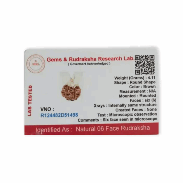 Lord Shiva Metals 6 Mukhi Rudraksha - Capped Rudraksha Pendant - With Red Dhaga and Certificate - Image 2