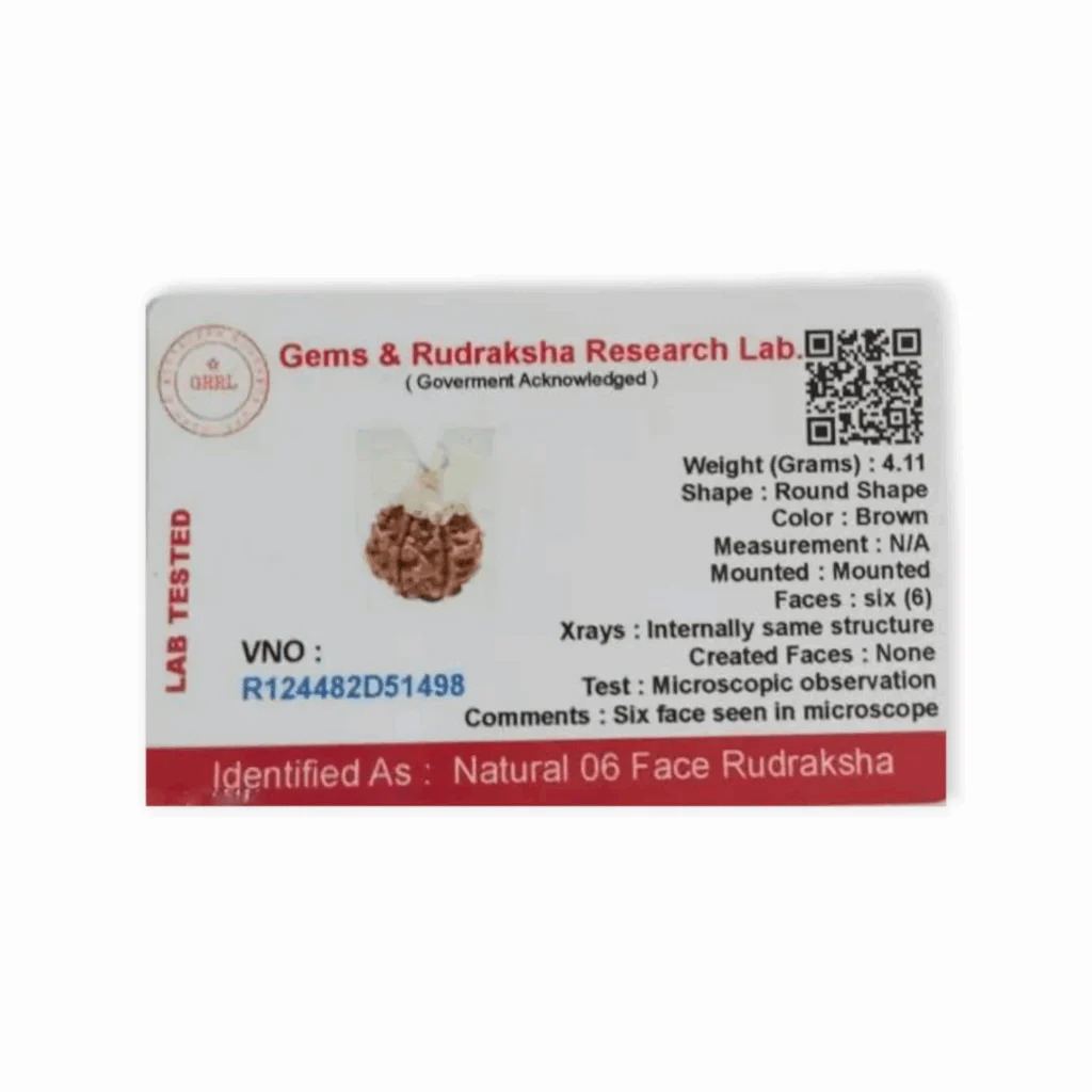 Lord Shiva Metals 6 Mukhi Rudraksha - Capped Rudraksha Pendant - With Red Dhaga and Certificate - Image 2