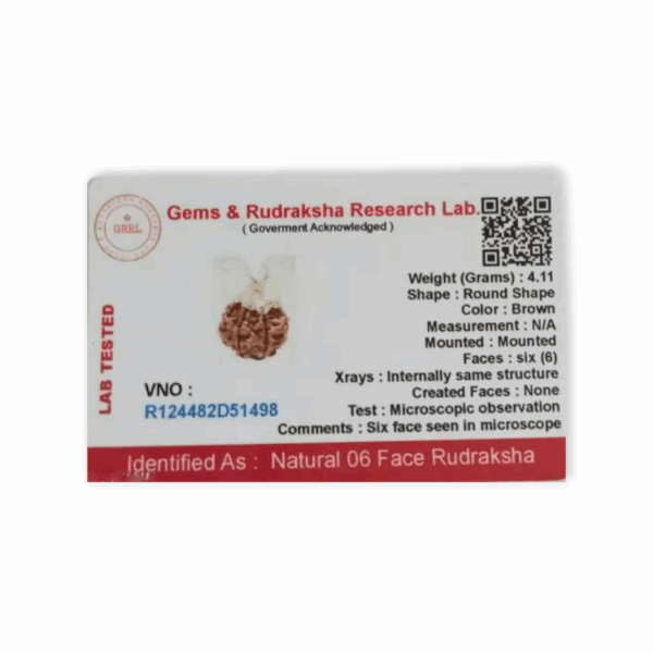 Lord Shiva Metals 6 Mukhi Rudraksha - Capped Rudraksha Pendant - With Red Dhaga and Certificate - Image 2