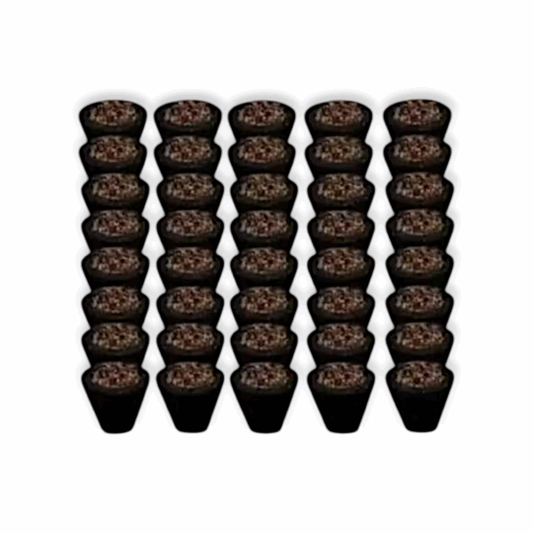 Sambrani Dhoop Cups - Lobhan Guggul Dhoop Cups -  Lobhan Guggul Havan Pooja Samagri