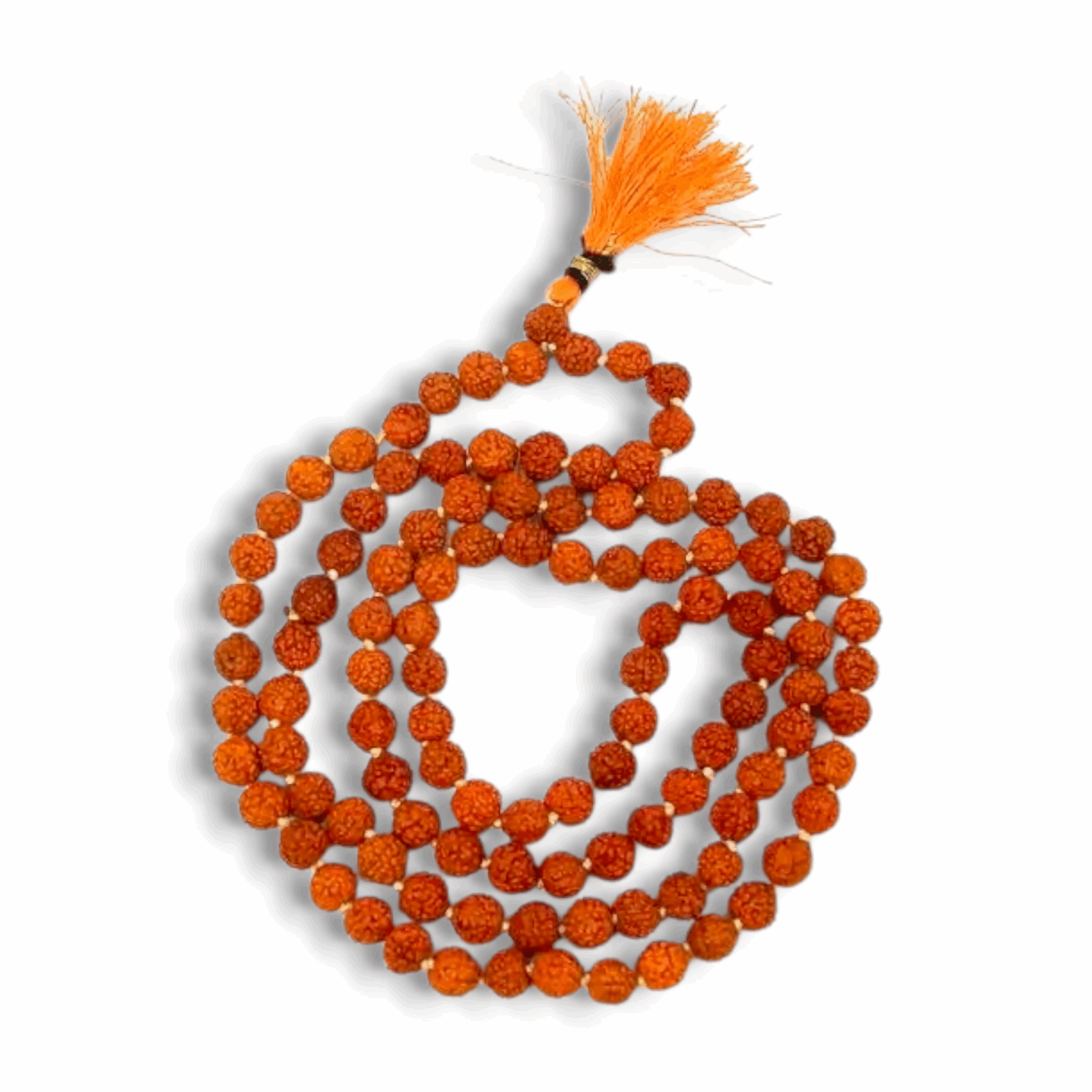 5 Mukhi (6 MM) Rudraksh Mala 108 Beads - Pure Original Rudakash - For Jaap & Puja purpose