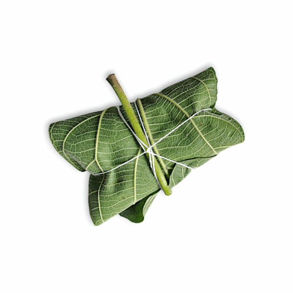 Original Jagga Dumur Leaf - Joggo Dumur Patta - Jaggo Dumur Leaf for Pooja Purpose - Set of 7 Leafs