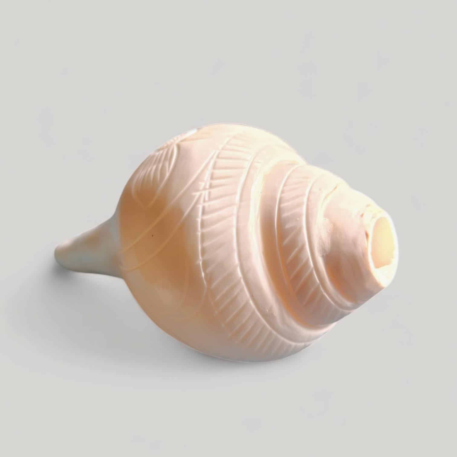 1 No.Natural Vamavarti Blowing Shankh - Conch - Original Sea Shell Blowing Shankh for Pooja - Loud Sound Shankh for Pooja, Home, Decoration