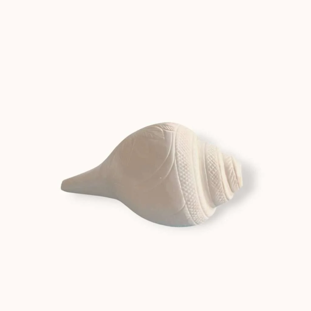 100% Original XXL Size Natural Vamavarti Blowing Shankh - Conch - Original Sea Shell Blowing Shankh for Pooja - Loud Sound Shankh for Pooja, Home, Decoration - Extra Large Size Shankh - Image 4