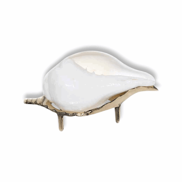 Jal Shankh With Brass Stand - Water Conch - Nabadwip Store In Small Jal Shankh With Brass Stand - for Pooja - Image 2