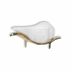 Jal Shankh With Brass Stand - Water Conch - Nabadwip Store In Small Jal Shankh With Brass Stand - for Pooja