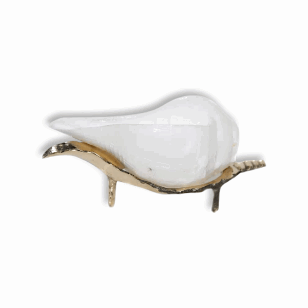 Jal Shankh With Brass Stand - Water Conch - Nabadwip Store In Small Jal Shankh With Brass Stand - for Pooja
