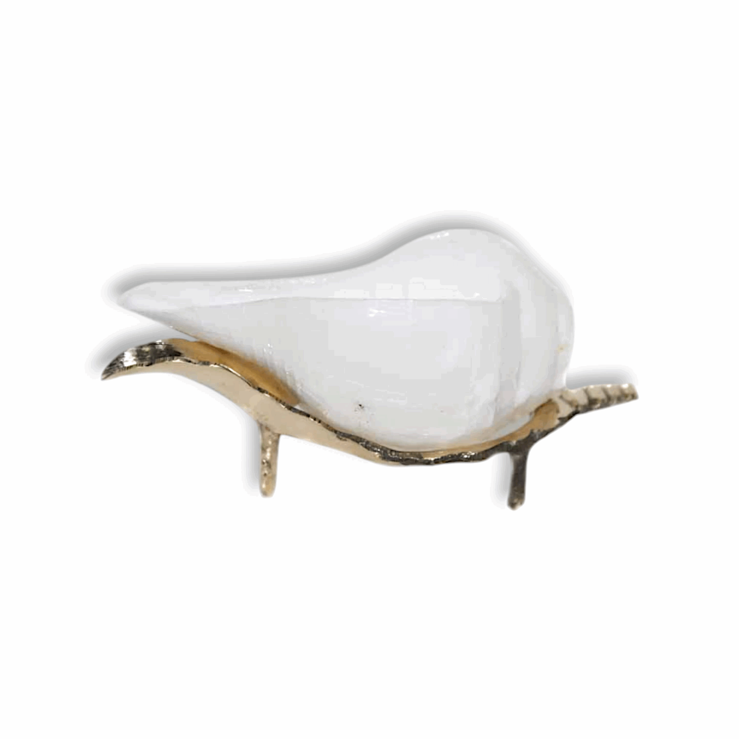 Jal Shankh With Brass Stand - Water Conch - Nabadwip Store In Small Jal Shankh With Brass Stand - for Pooja