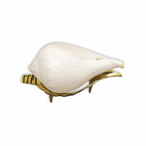 Jal Shankh with Brass Stand - Water Conch - Decorative Pooja Shankh - Traditional Brass Design - Religious Ornament - Unique Home Decor
