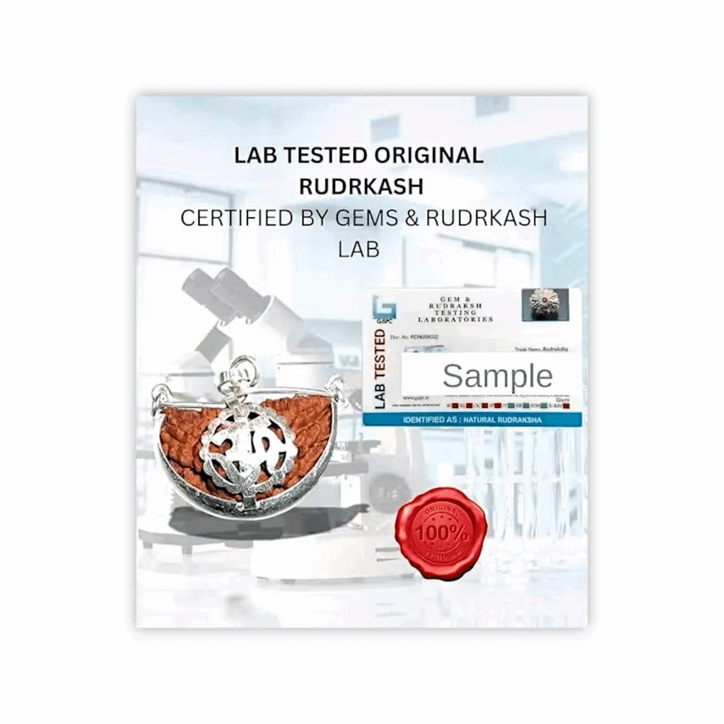 1 Mukhi Rudraksha - One face ek Mukhi Rudraksha Certified Original Nepali - 1 Mukhi Kaju Rudraksh Natural one Faced Rudraksha Pendent - Image 3