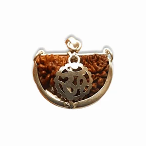 1 Mukhi Rudraksha - One face ek Mukhi Rudraksha Certified Original Nepali -  1 Mukhi Kaju Rudraksh Natural one Faced Rudraksha Pendent