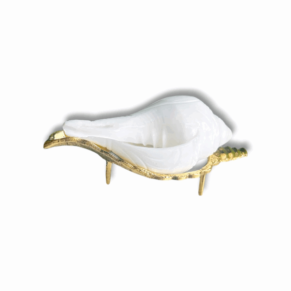 Jal Shankh for Pooja - Jal Shankh With Brass Shankh Stands - Medium Jal Shankh with Pure Brass Shankha Stand for Pooja - Image 2