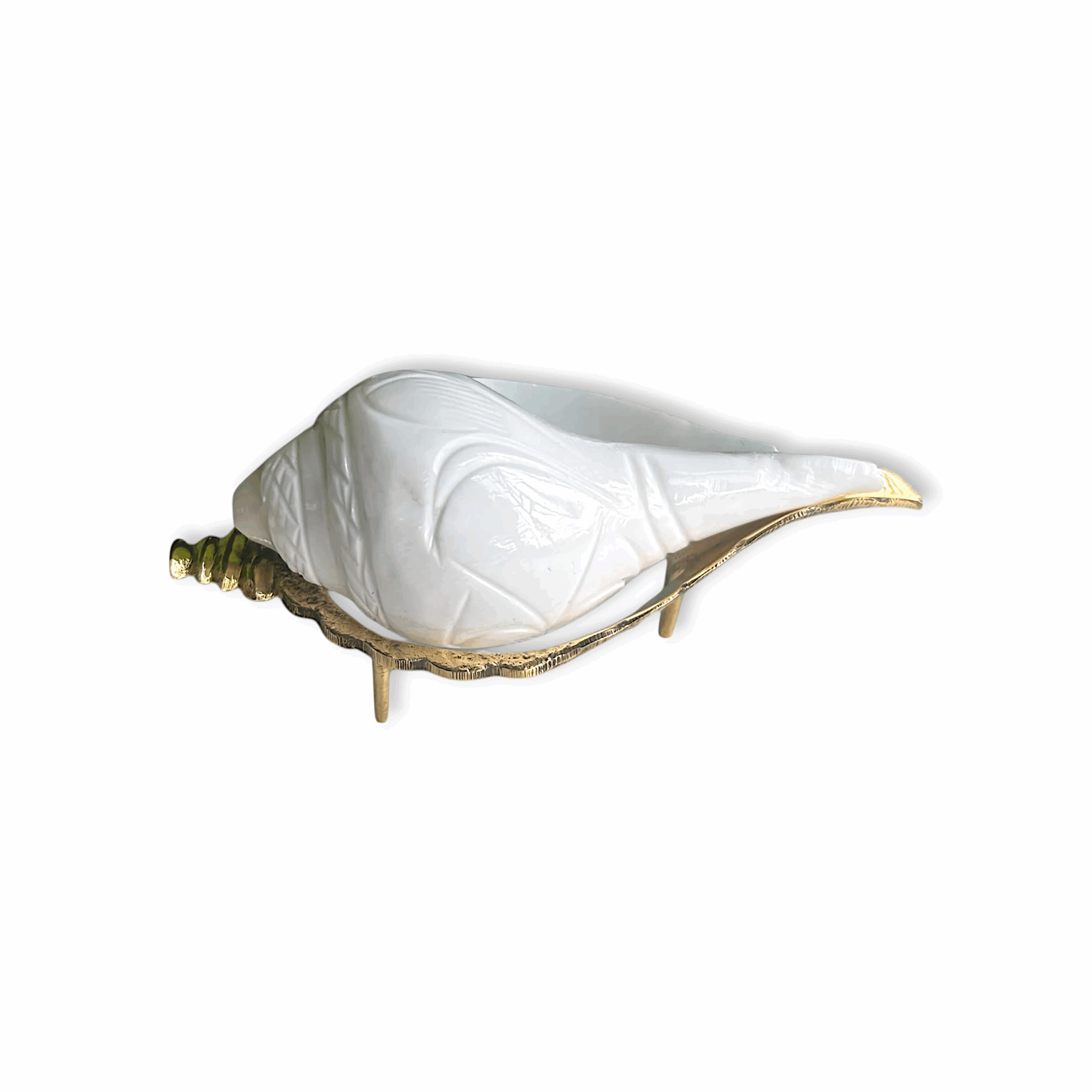 Jal Shankh for Pooja - Jal Shankh With Brass Shankh Stands - Medium Jal Shankh with Pure Brass Shankha Stand for Pooja