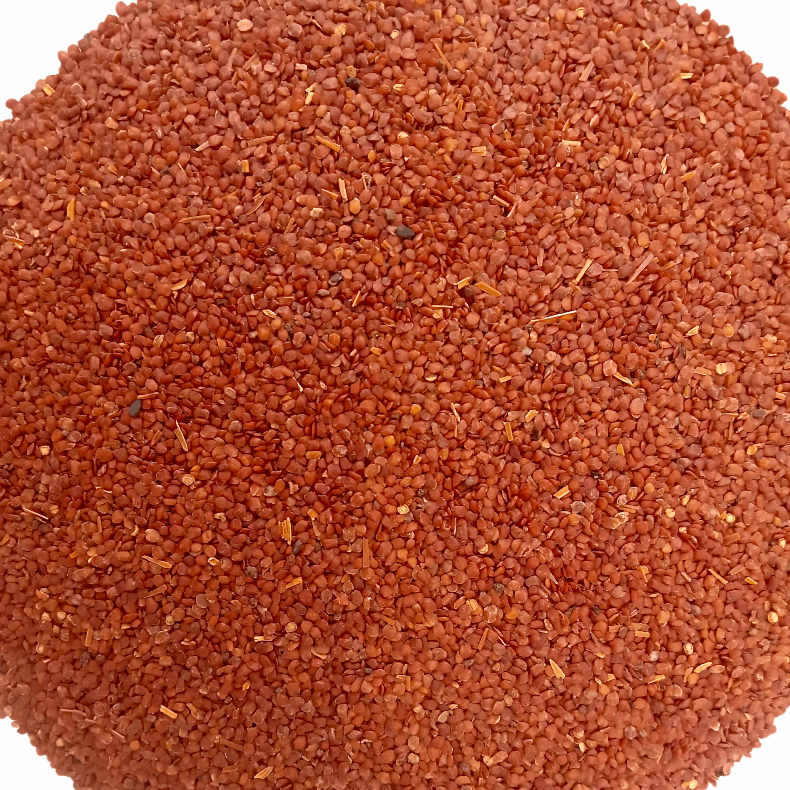 Original Talmakhana Hygrophilia Spinosa Lotus Astercantha Longifolia Seeds - Talmakhana - Organic - 100% Natural